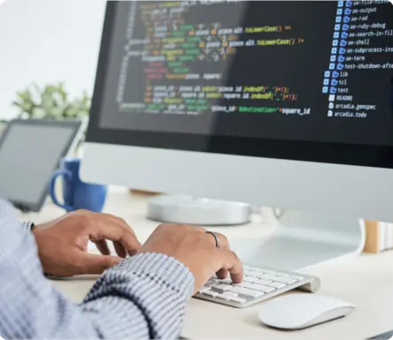 Website Development
